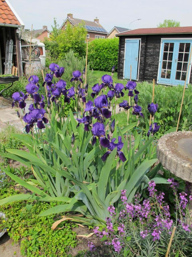 De Slaapmus Bed & Breakfast Boven-Leeuwen Eksteriør bilde